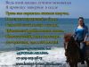 Конно-туристическая база «ДОРОГАМИ АБХАЗИИ» объявляет набор группы в конный круиз