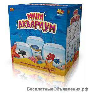Мини аквариум с рыбкой