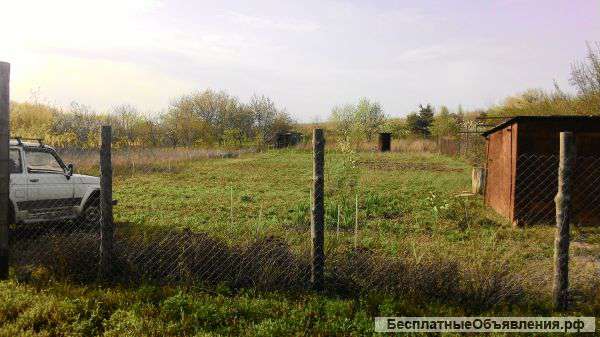 Х.Грушевый ДНТ "Кравцово"