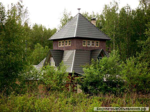 Эко-дом в лесу