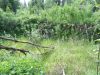 Лесной участок 10 соток в Звенигороде