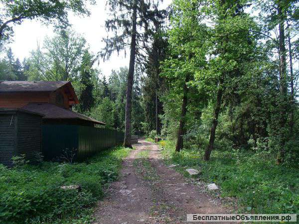 Лесной участок 20 соток в Звенигороде