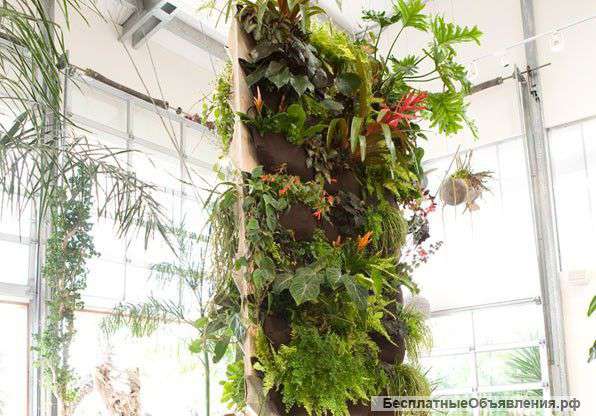 Вертикальное озеленение