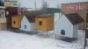 Курятник для кур