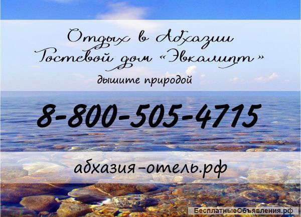 Отдых в Абхазии