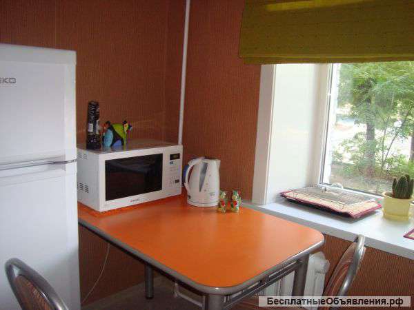 Уютная квартира посуточно рядом с Экспоцентром