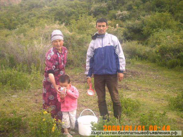 Услуги саамал