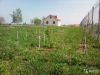 Участок 10 соток