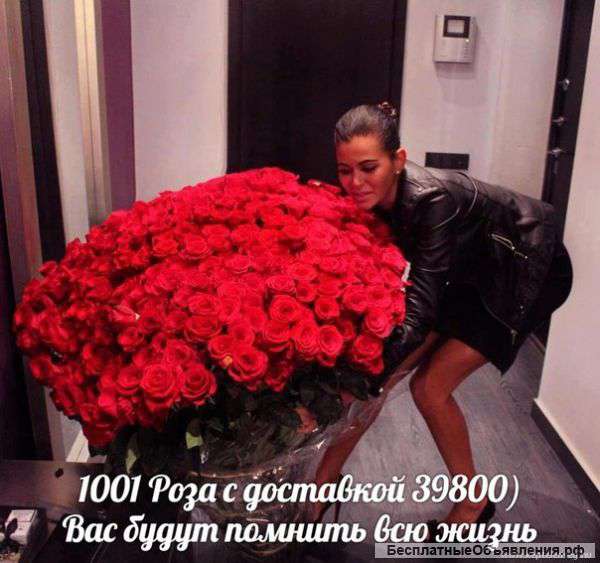 1001 Роза с доствкой