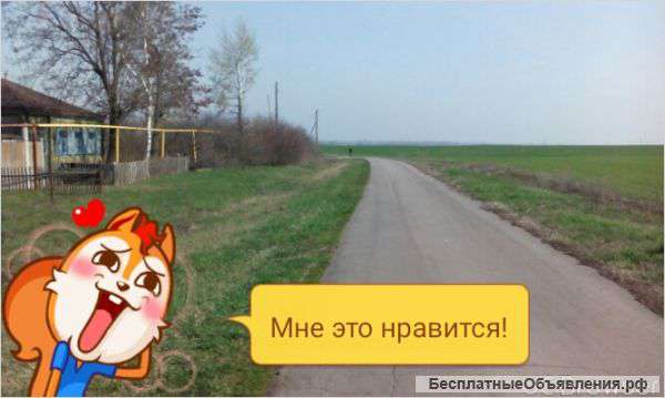 Земельный участок 3.6 г.