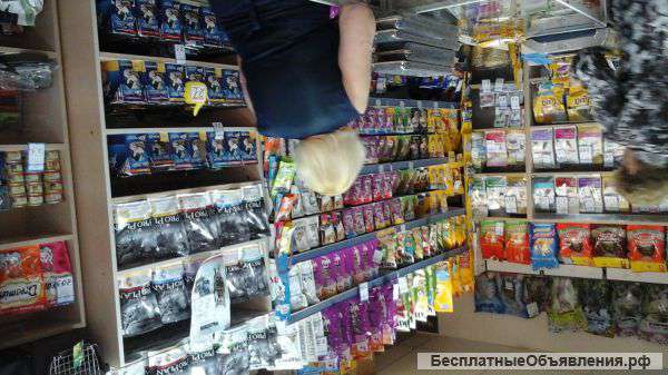 Корма для животных