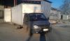 Газель