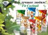 Злаковые коктейли для всей семьи
