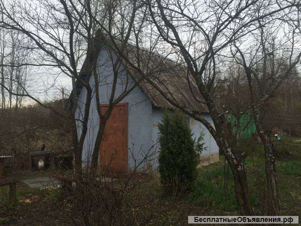 Дача Строитель 3