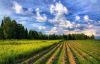 Рекультвация, восстановление нарушенных земель