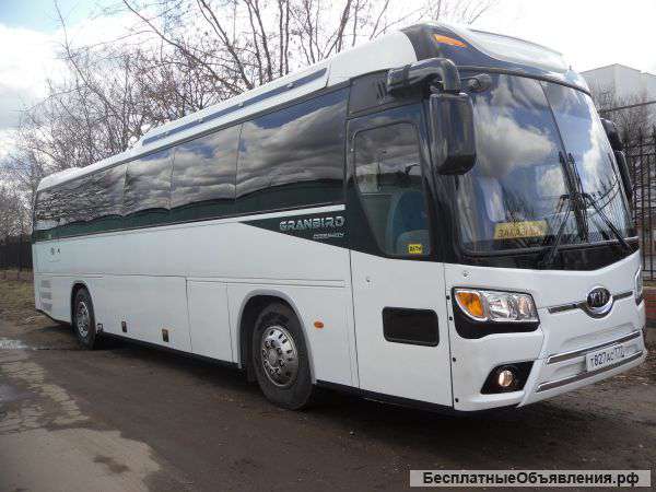 Аренда автобуса 45 мест