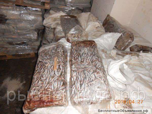 Кильку свежемороженую оптом в Крыму