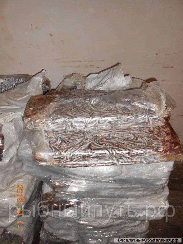 Кильку свежемороженую оптом в Крыму