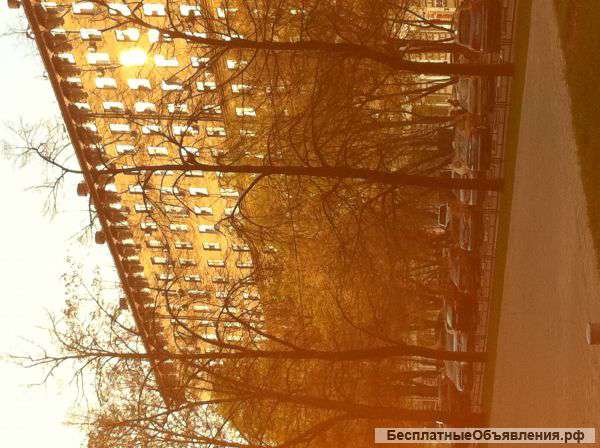 Квартиру