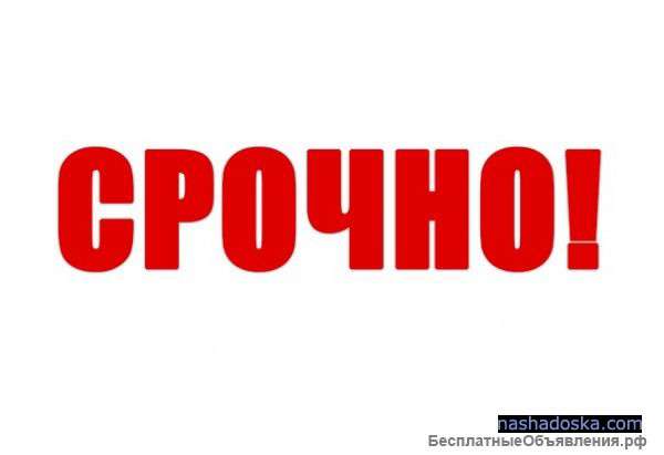 Нужен кассир в общепит