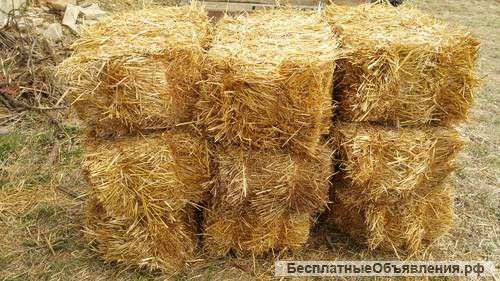 Солома пшеницы в тюках(брикетах). Краснодар