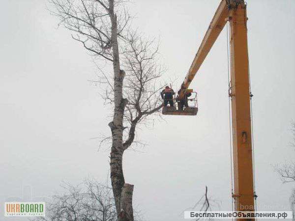 Автовышка при Опиловке Деревьев