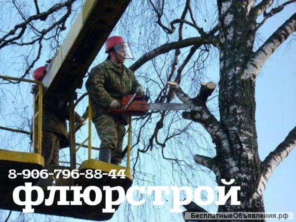Спил. Обрезка Деревьев