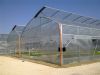 Проектируем и строим теплицы