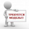 Требуетя модель