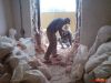 Требуются Разнорабочие