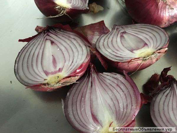 Лук красный