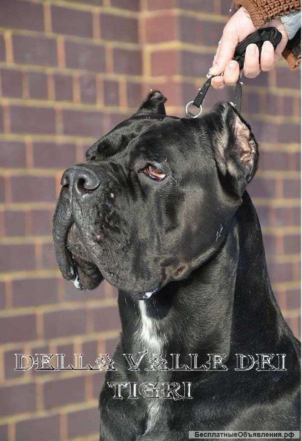 Уникальная цена за счастье