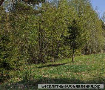 Земельный участок