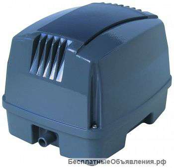 Hailea HAP-80 Hailea