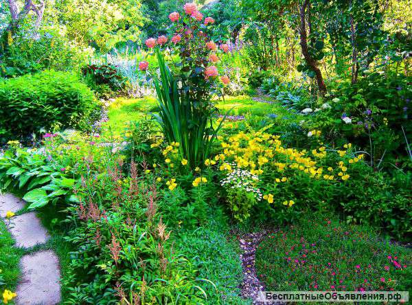 Консультации по вопросам агротехники растений и создания сада вашей мечты