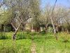 Земельный участок 12 соток