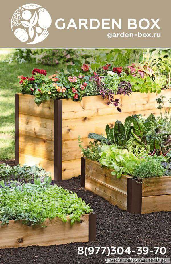 Высокие грядки под заказ с авто-поливом в подарок