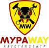 Требуются Автомеханики/Автослесари