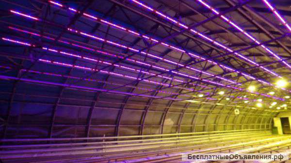 Лампа для рассады