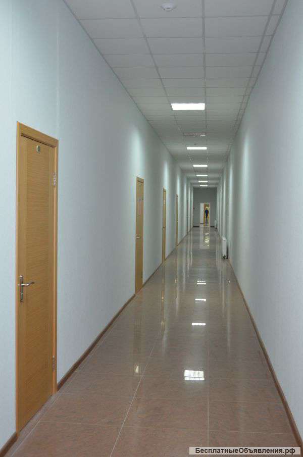 Офисы 50