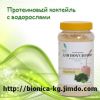 Быстрое похудение в Бишкеке. Протеиновый коктейль с водорослями.