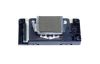 Печатная голова для Epson 4800/7400/7800/9400/9800 (DX5) - F160000/F160010