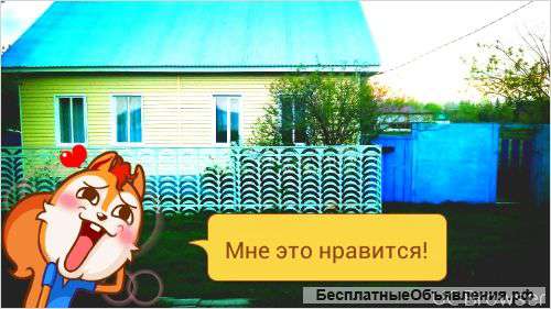 Частный дом. с. Бакалы