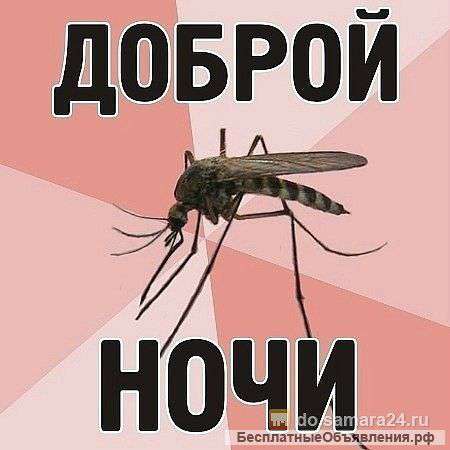 Комаров уничтожение Самара