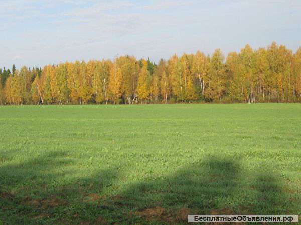 Земельный участок - 103 га,с Люк, Завьяловский район, Удмуртия