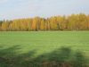 Земельный участок - 103 га,с Люк, Завьяловский район, Удмуртия