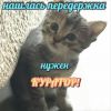 Очень нужен куратор малышке Это не сложно Или дом