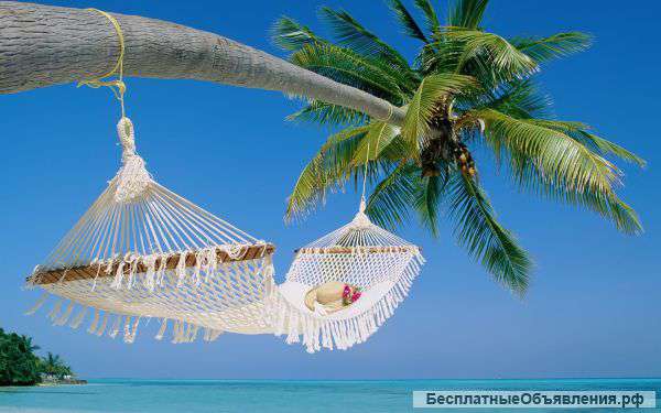 Шенген визы