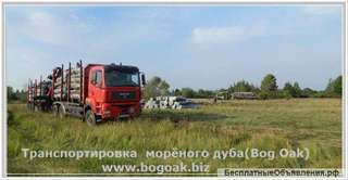 Шпон натурального морёного дуба. Bog Oak. ГОСТ 2977-82. толщина 0,8мм.-0,9мм.