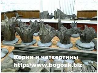 Предприятие продаёт уникальный, отборный, натуральный морёный дуб, Bog Oak, добыт